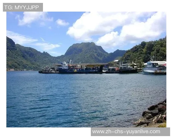 美属萨摩亚足球队的崛起与挑战探索太平洋足球的未来之路