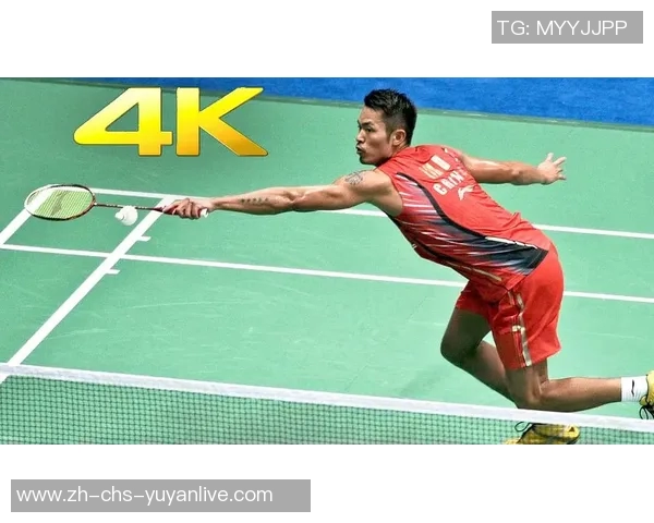 安赛龙与林丹经典对决视频回顾赛场上的巅峰对抗与精彩瞬间分享